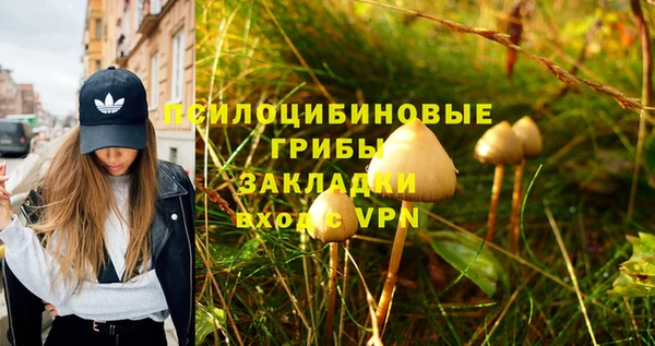 крисы Медвежьегорск