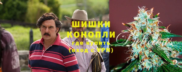 твердый Мегион