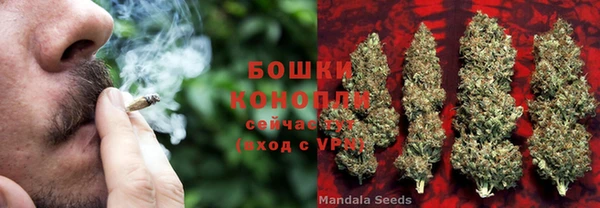 молекула духа Лиски