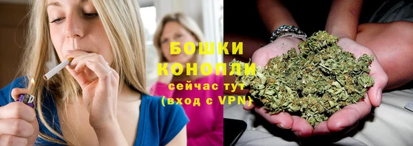 крисы Медвежьегорск