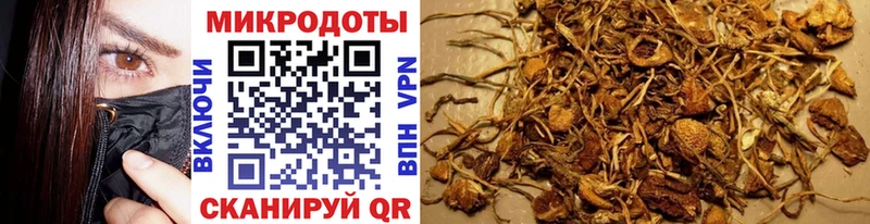 Псилоцибиновые грибы Psilocybine cubensis  блэк спрут зеркало  Мелеуз 