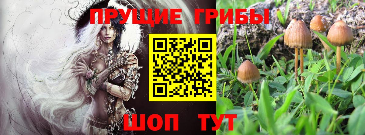 Псилоцибиновые грибы мицелий Мелеуз