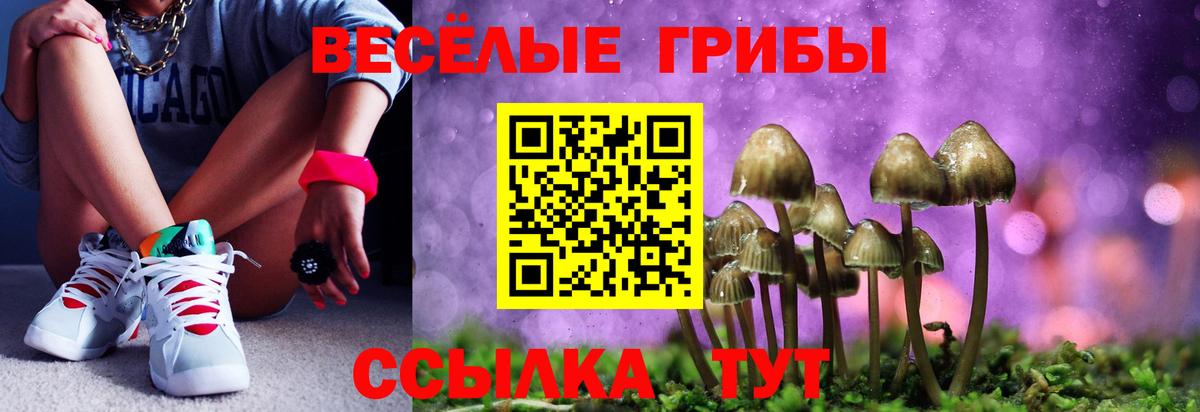 купить  сайты  Мелеуз  Галлюциногенные грибы мухоморы 